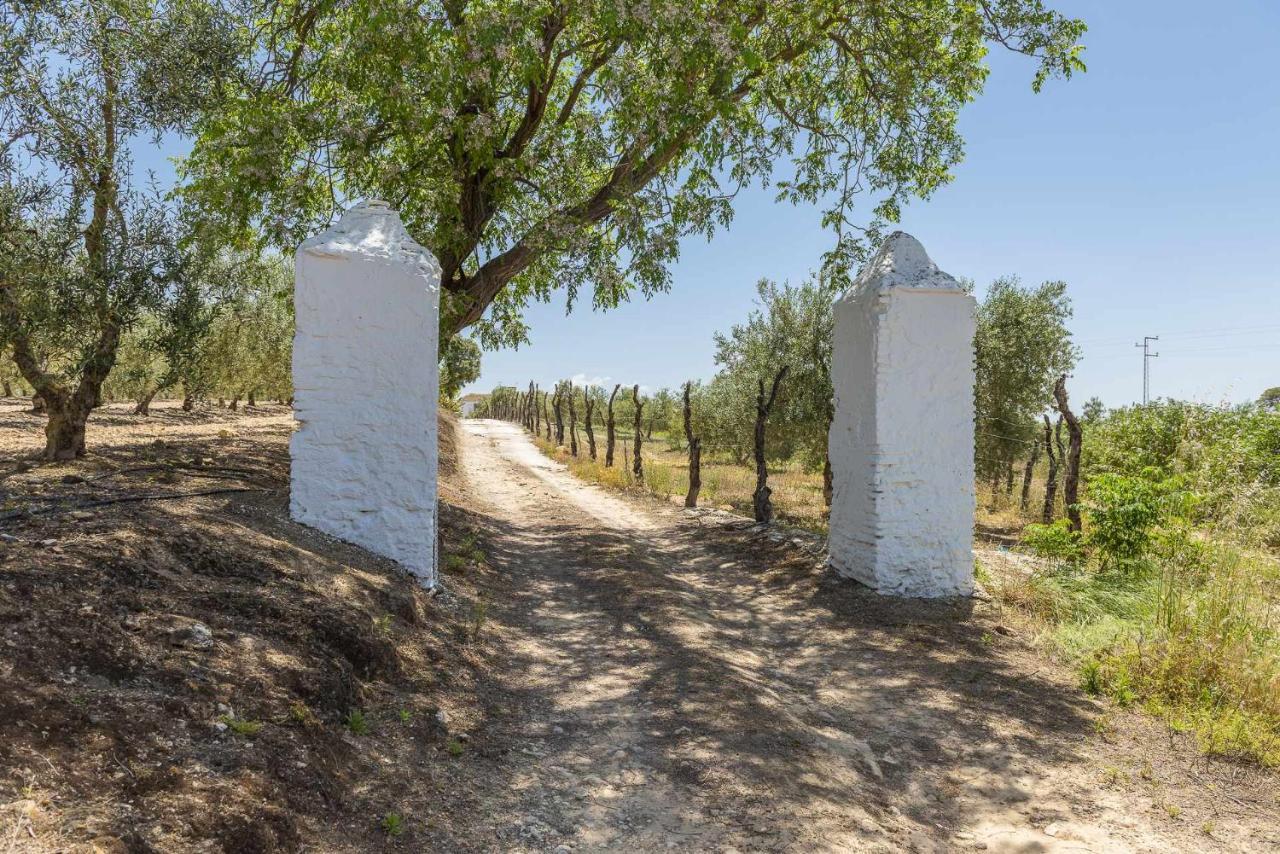 Вілла Hacienda San Antonio Марчена Екстер'єр фото